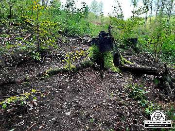 Codex-Chronomicon_Anno-Magicae_Baerenau-Epos_30092022_032_Rollenspiel_RPG_LARP