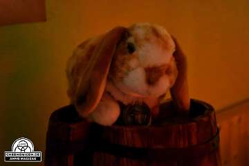 Codex-Chronomicon_Anno-Magicae_Baerenau-Epos_30092022_080_Rollenspiel_RPG_LARP