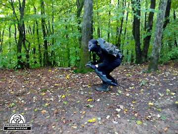 Codex-Chronomicon_Anno-Magicae_Baerenau-Epos_30092022_110_Rollenspiel_RPG_LARP