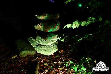 Codex-Chronomicon_Anno-Magicae_Baerenau-Epos_30092022_341_Rollenspiel_RPG_LARP