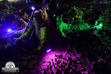 Codex-Chronomicon_Anno-Magicae_Baerenau-Epos_30092022_352_Rollenspiel_RPG_LARP