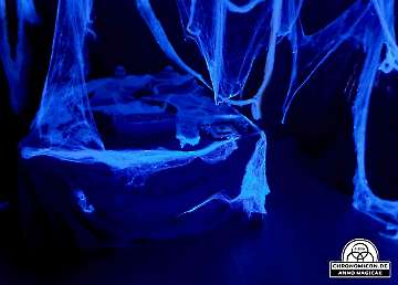 Codex-Chronomicon_Anno-Magicae_Baerenau-Epos_03102019_240_Rollenspiel_RPG_LARP