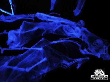 Codex-Chronomicon_Anno-Magicae_Baerenau-Epos_03102019_242_Rollenspiel_RPG_LARP