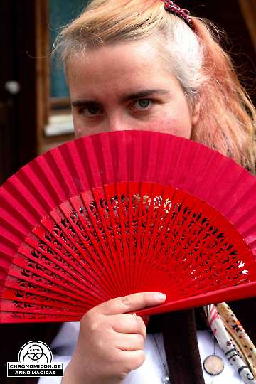 Chronomicon_Anno-Magicae_Baerenau-Epos_19042025_054_Rollenspiel_RPG_LARP