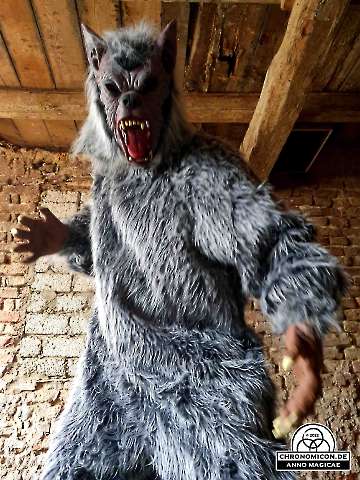 Codex-Chronomicon_Anno-Magicae_Baerenau-Epos_15042022_002_Rollenspiel_RPG_LARP