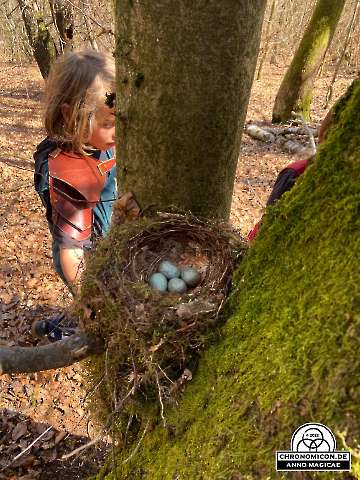 Codex-Chronomicon_Anno-Magicae_Baerenau-Epos_15042022_041_Rollenspiel_RPG_LARP