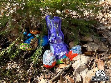 Codex-Chronomicon_Anno-Magicae_Baerenau-Epos_15042022_043_Rollenspiel_RPG_LARP