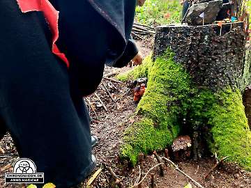 Codex-Chronomicon_Anno-Magicae_Baerenau-Epos_30092022_026_Rollenspiel_RPG_LARP