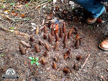 Codex-Chronomicon_Anno-Magicae_Baerenau-Epos_30092022_038_Rollenspiel_RPG_LARP