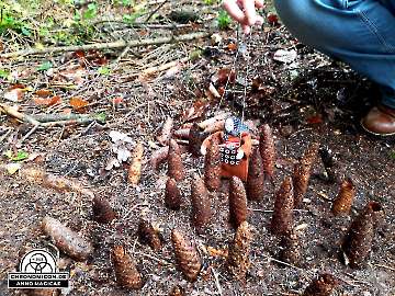 Codex-Chronomicon_Anno-Magicae_Baerenau-Epos_30092022_039_Rollenspiel_RPG_LARP