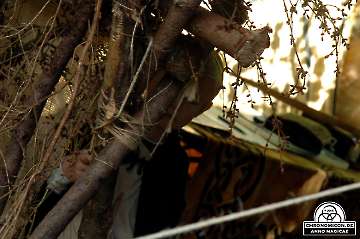 Codex_Chronomicon_Anno-Magicae_Sagala-Epos_07102006_023_Rollenspiel_RPG_LARP