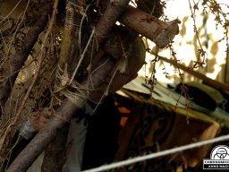 Achte Sagala Âventiure 07.10.2006